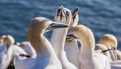 文山最新的高价医保卡惠民保险代扣怎么取消掉了方法分享(文山惠民医保怎么报销教程)