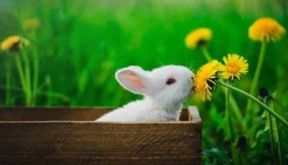 文山最新的高价医保卡惠民保险代扣怎么取消掉了方法分享(文山惠民医保怎么报销教程)